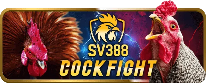 Sòng bạc trực tuyến NEW88BET